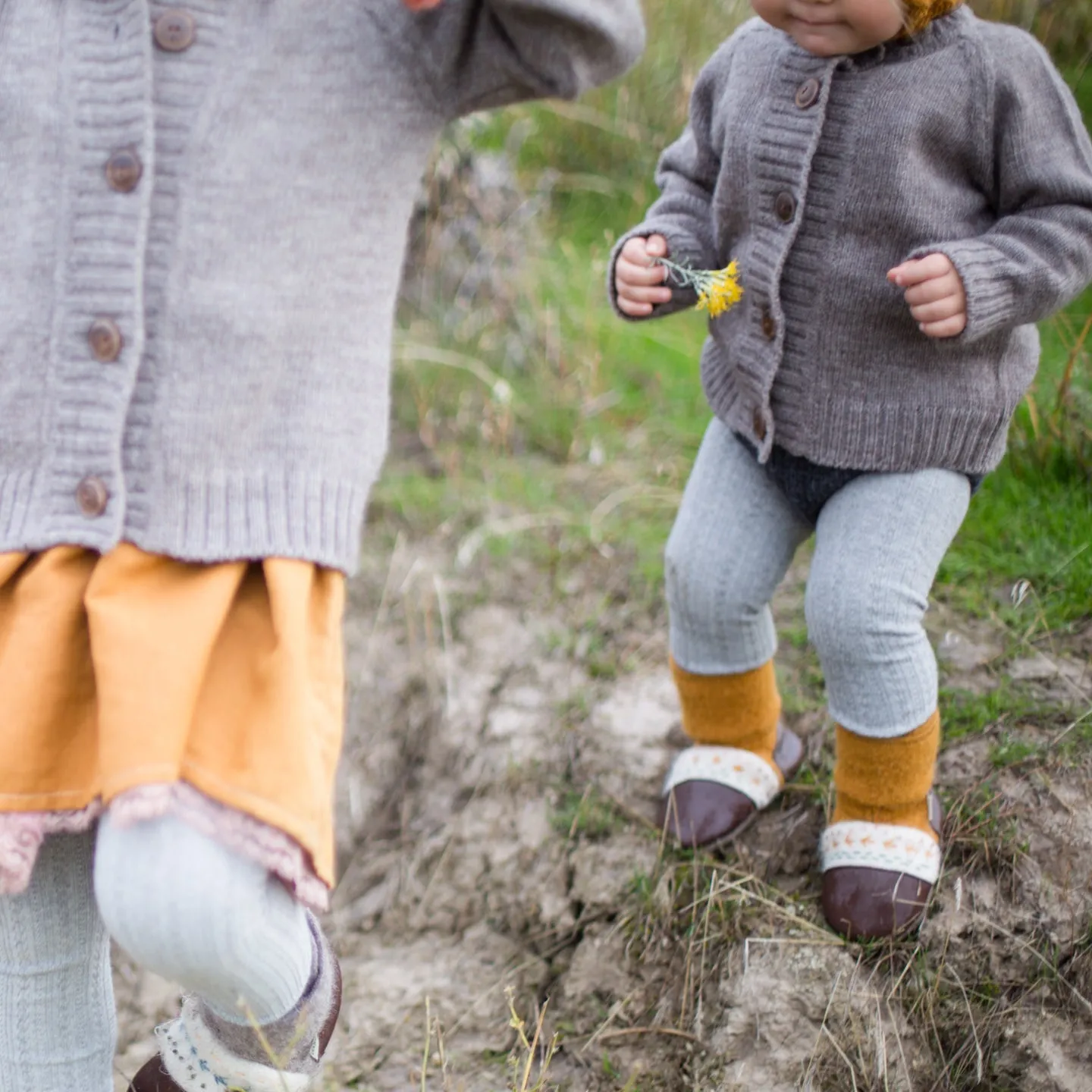 Caribou Merino Wool Cardigan