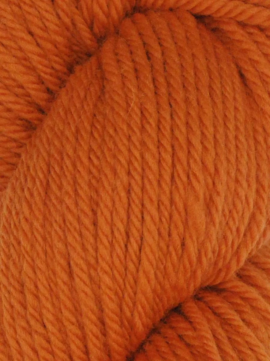 Falkland Merino Chunky | Queensland