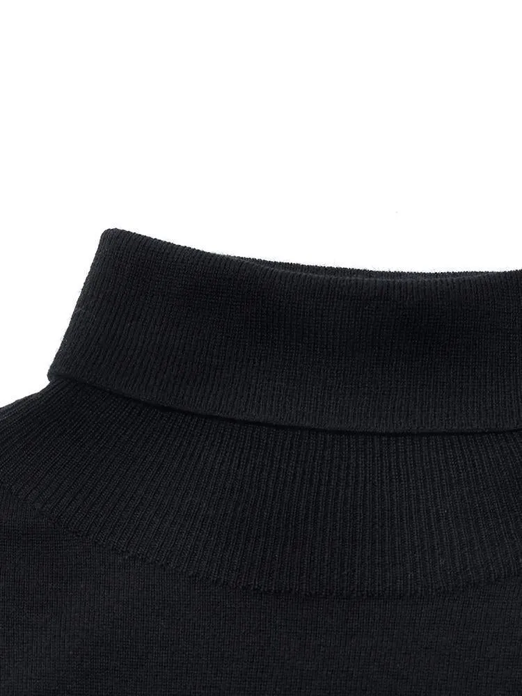 Machine Washable Wool Seamless Turtleneck Women Sweater