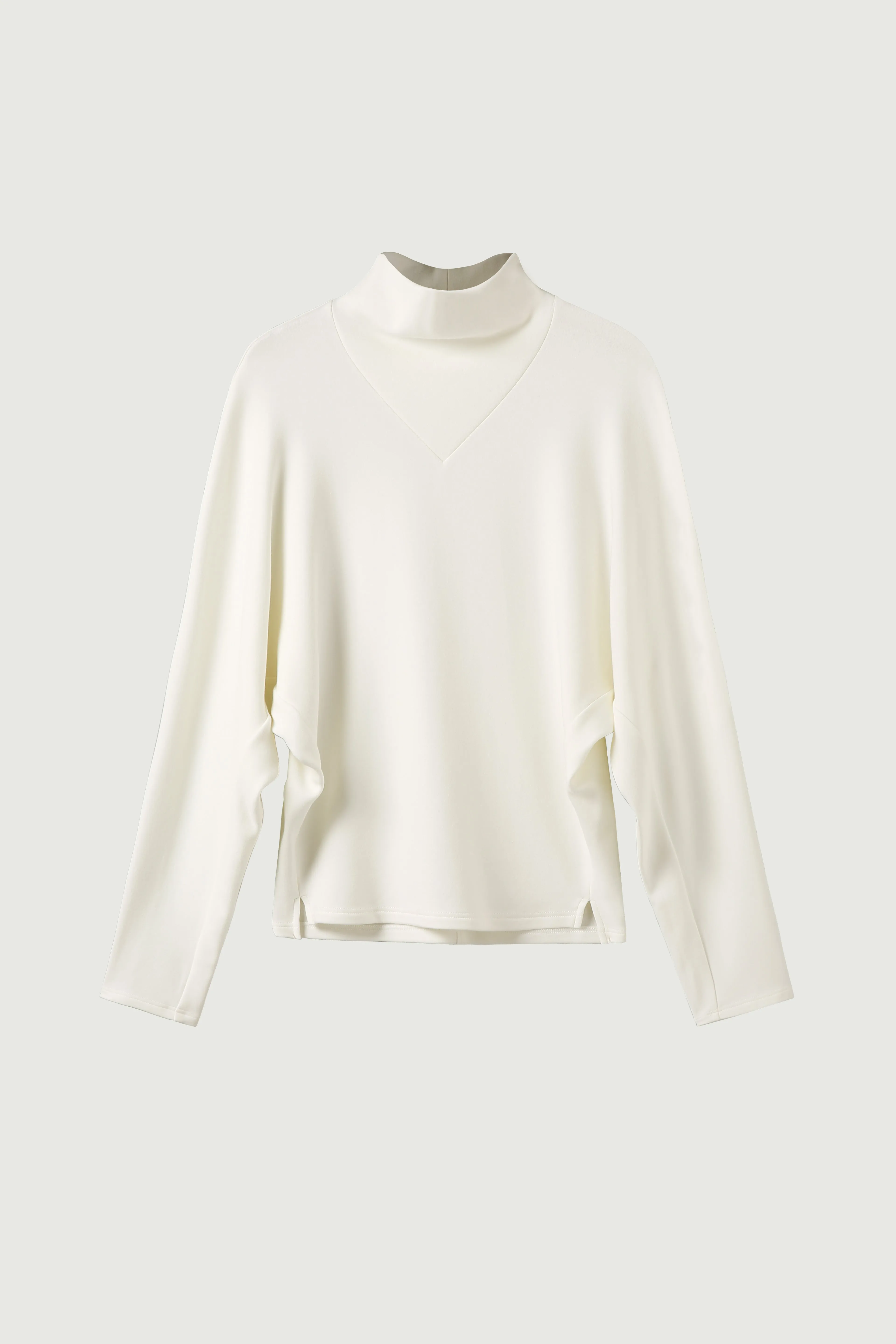 Turtleneck Dolman Top